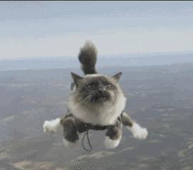 微信看图猜成语答案_微信看图猜成语答案及图片