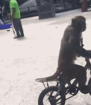 微信看图猜成语答案_微信看图猜成语答案及图片