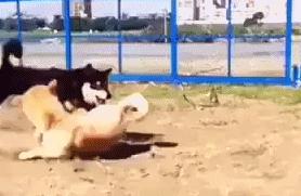 微信看图猜成语答案_微信看图猜成语答案及图片
