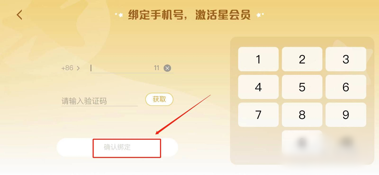 王者星会员是什么_王者星会员是什么要钱吗