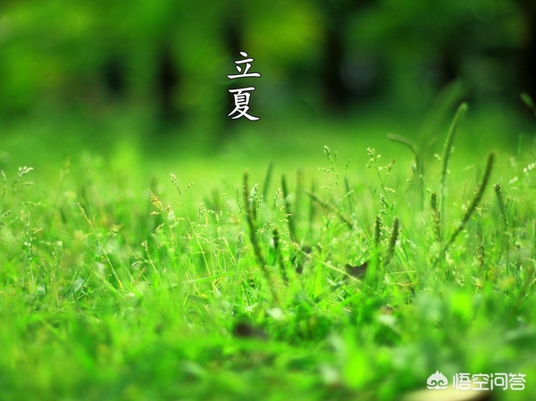 立夏在古代是什么意思_
