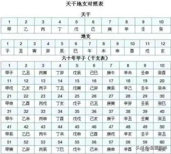欲兔直播_欲兔直播软件使用方法