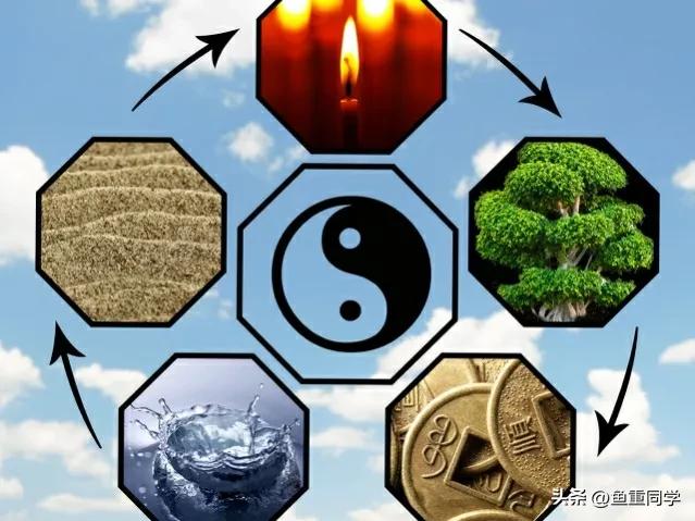 欲兔直播_欲兔直播软件使用方法