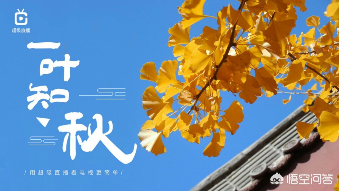 成为直播人的app_少女6夜半直播nba