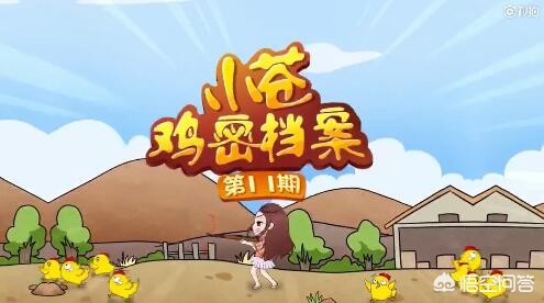 小苍解说lol视频_小苍解说在哪直播