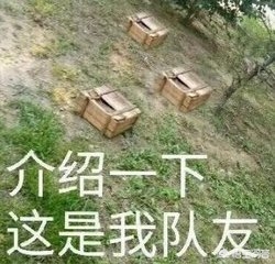 英雄联盟皮肤盒子_英雄联盟皮肤盒子免费不封号