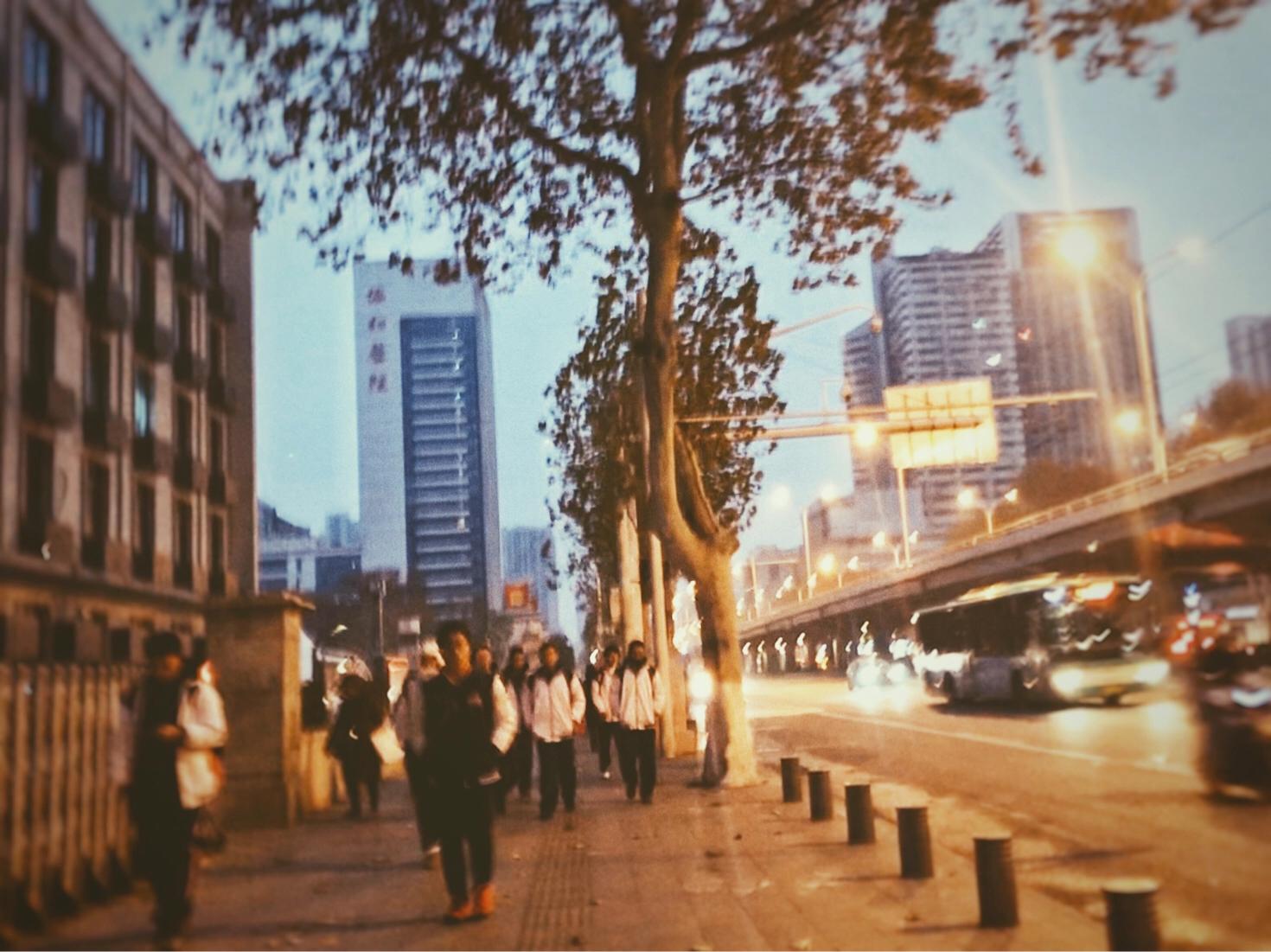 感恩节图片大全集_感恩节图片大全集高清