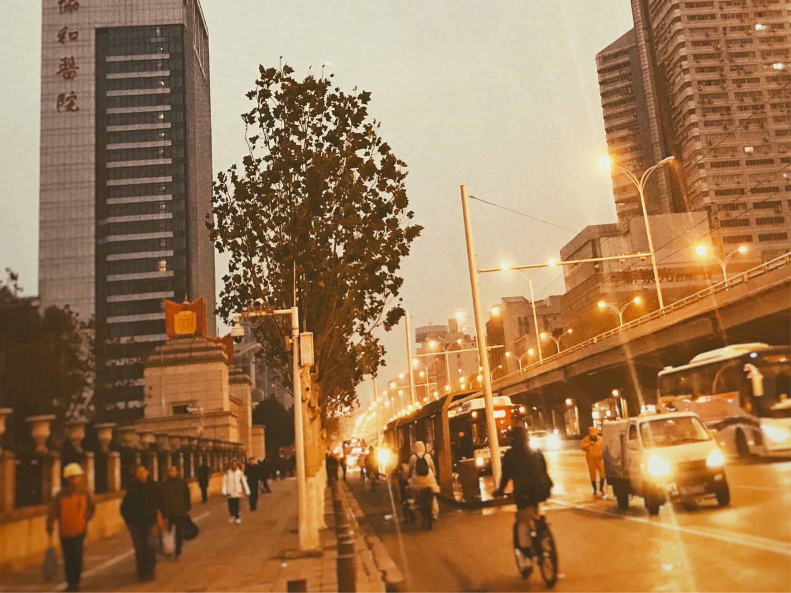 感恩节图片大全集_感恩节图片大全集高清