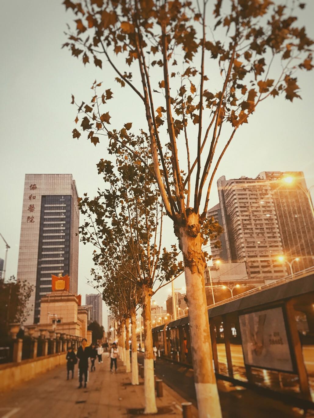感恩节图片大全集_感恩节图片大全集高清