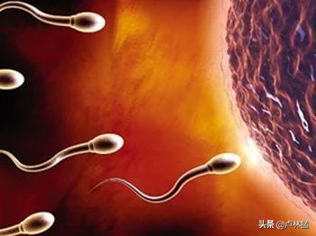 S31新赛季延期十天_s31新赛季延期十天怎么办
