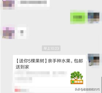 多多果园_多多果园兑换记录在哪找