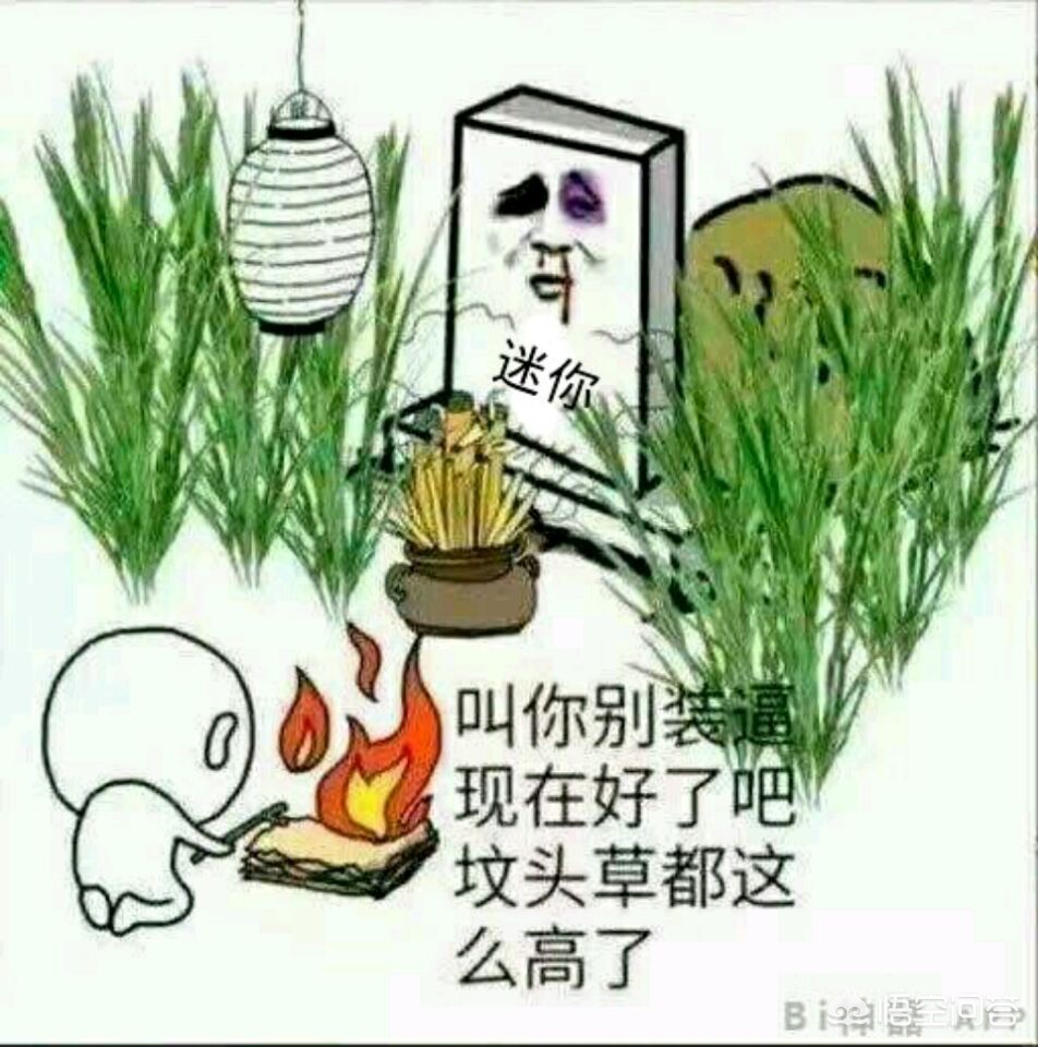 《我的世界》_《我的世界》网易版官方