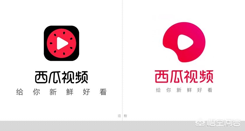 葫芦直播_葫芦直播现在叫什么直播了