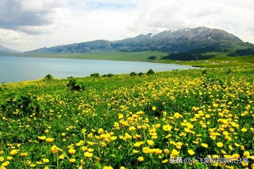 美剧迷影视_美剧迷影视大全app下载