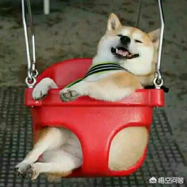 陌聊陌交友_陌聊陌约这个软件怎么样