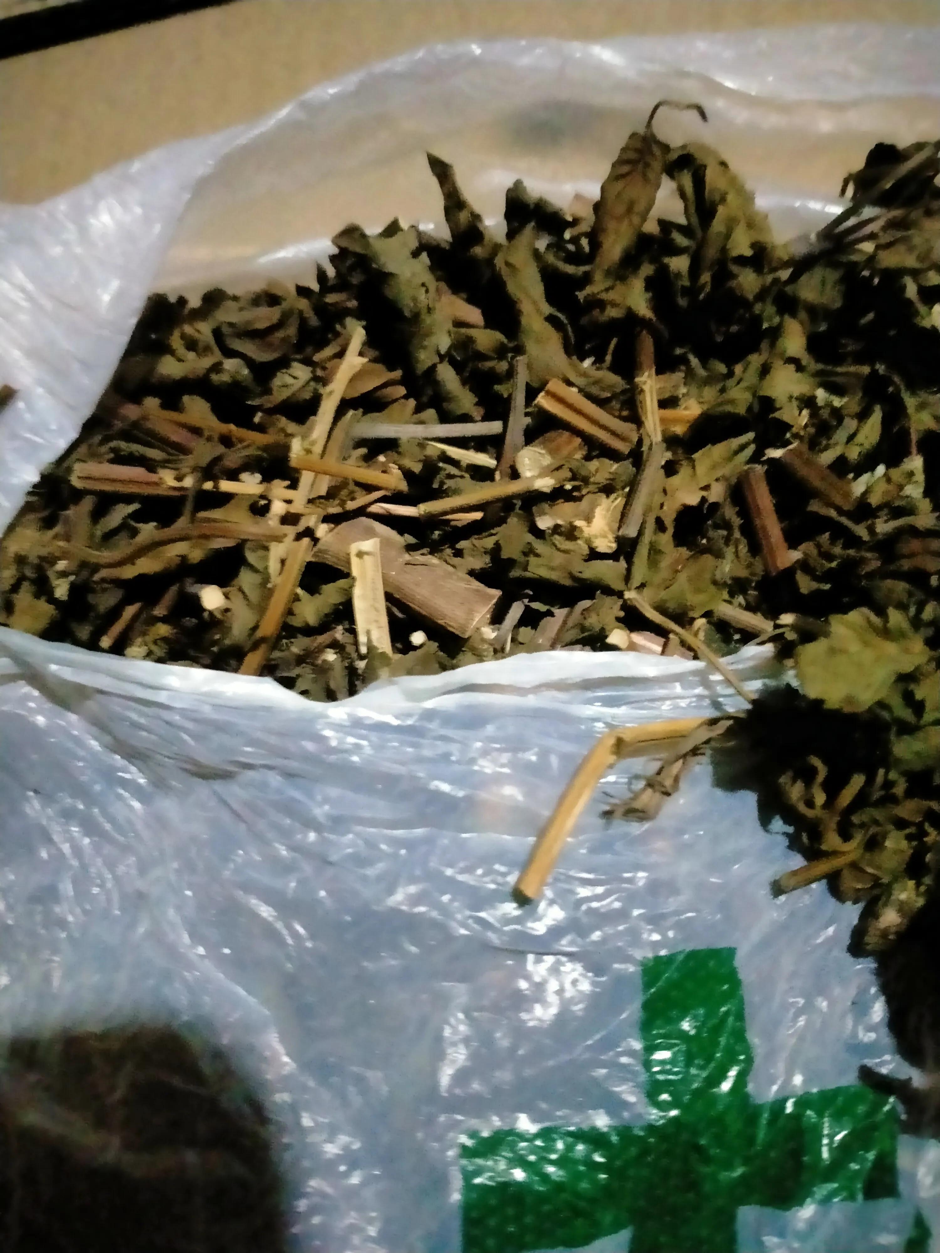 羊了_羊了个羊