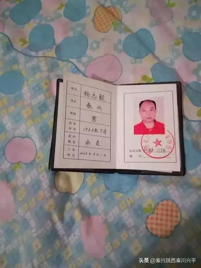 dnf淘气虎_dnf淘气虎可以进化吗