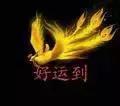 dnf淘气虎_dnf淘气虎可以进化吗