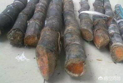 民间说法称清明蔗毒过蛇_清明蔗毒过蛇是什么意思