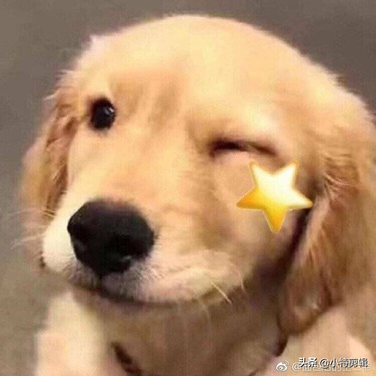 lol搞笑名字_LOL搞笑名字