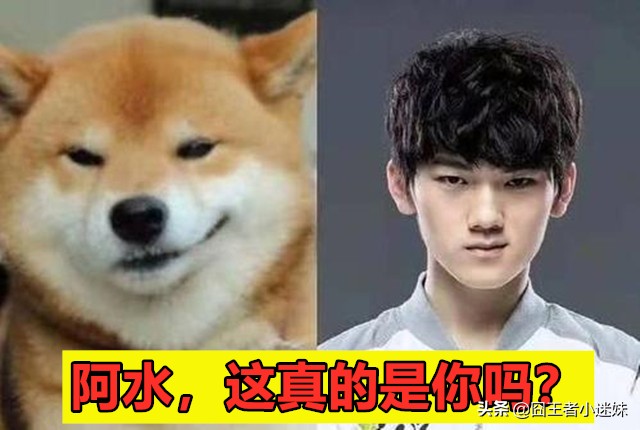 英雄联盟cg动画全集_英雄联盟cg动画全集 官方