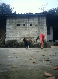 热门图片_热门图片素材