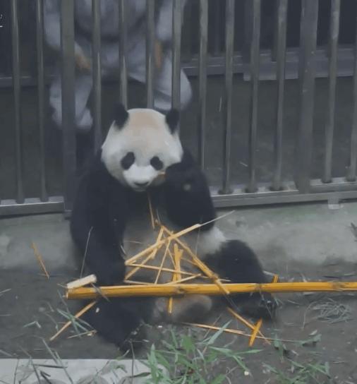 热门图片_热门图片素材