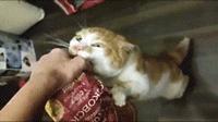 热门图片_热门图片素材