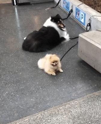 热门图片_热门图片素材
