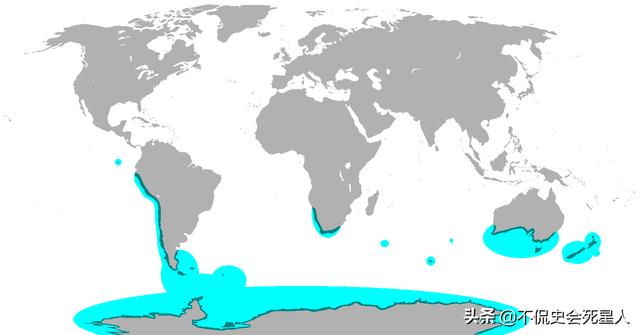 企鹅大陆_企鹅大陆称号怎么获得