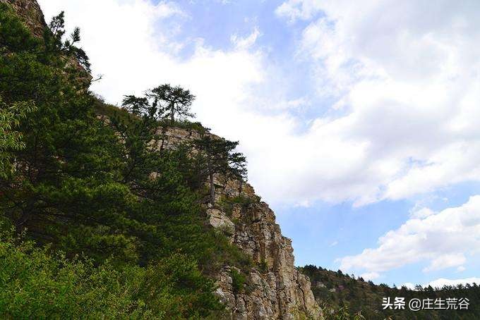 大掌门令狐冲_大掌门令狐冲传记 大掌门令狐冲_大掌门令狐冲传记