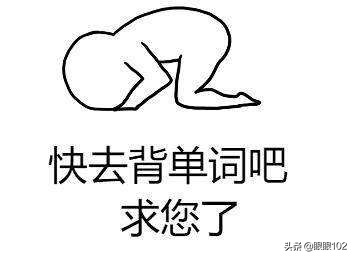 记单词软件_记单词软件免费