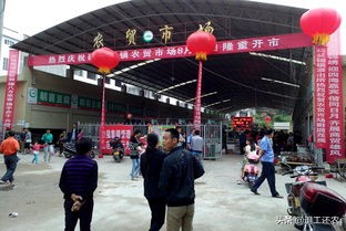 茄子视频ios下载_茄子视频ios下载18