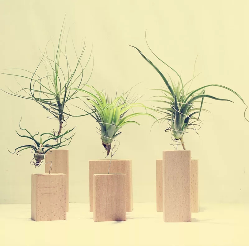 植物大战僵尸公仔_植物大战僵尸公仔玩具