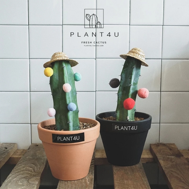 植物大战僵尸公仔_植物大战僵尸公仔玩具