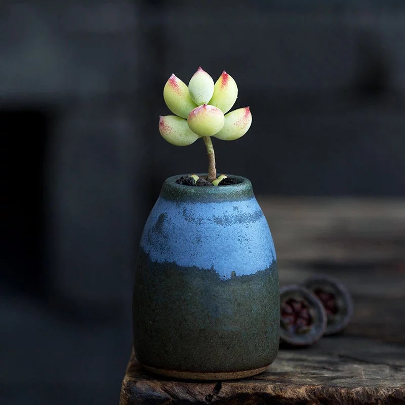 植物大战僵尸公仔_植物大战僵尸公仔玩具