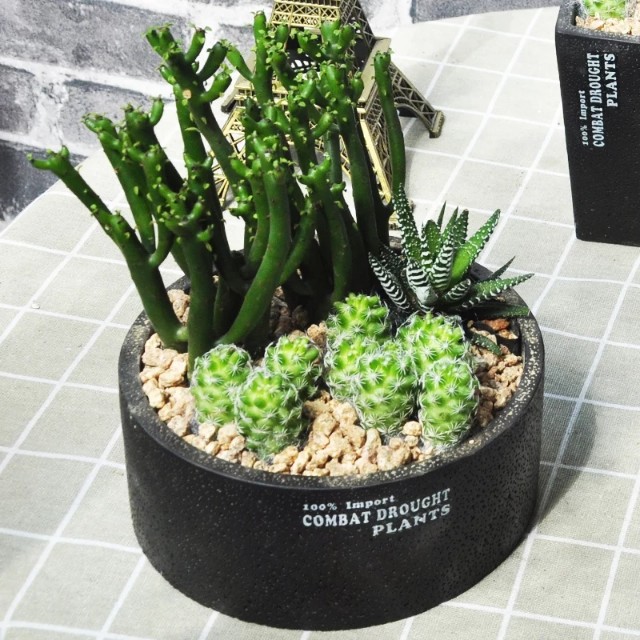 植物大战僵尸公仔_植物大战僵尸公仔玩具