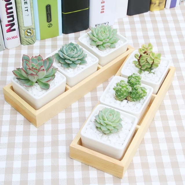 植物大战僵尸公仔_植物大战僵尸公仔玩具