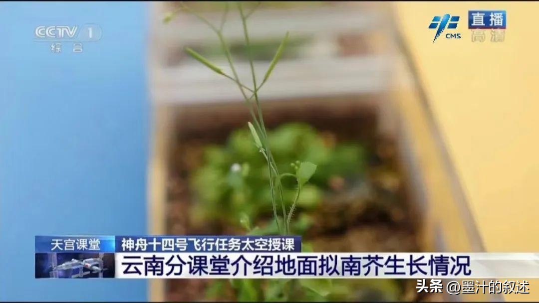 天宫课堂直播回放_天宫课堂直播回放2022完整版第三课