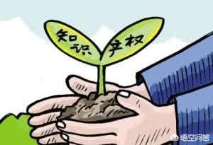 现在怎么看片_现在怎么看片子