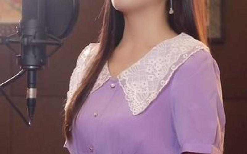 带走我的心啊把她藏在行囊 是什么歌_带走我的心啊把她藏在行囊 是什么歌曲