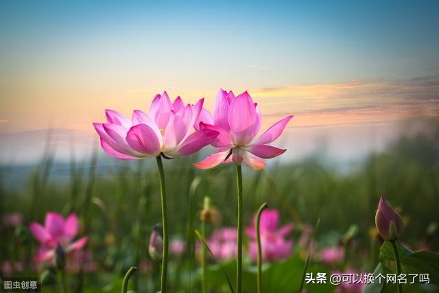 天龙八部人物名字_天龙八部人物名字大全
