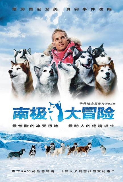 哈哈影视_哈哈影视最新版本
