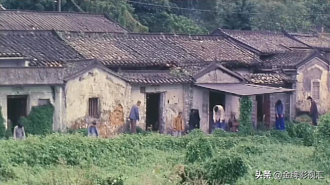 以家人之名免费观看策驰影院_以家人之名免费观看版策驰影院