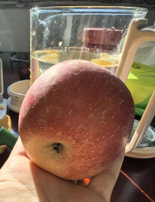 甜橙视频制作_甜橙视频制作教程