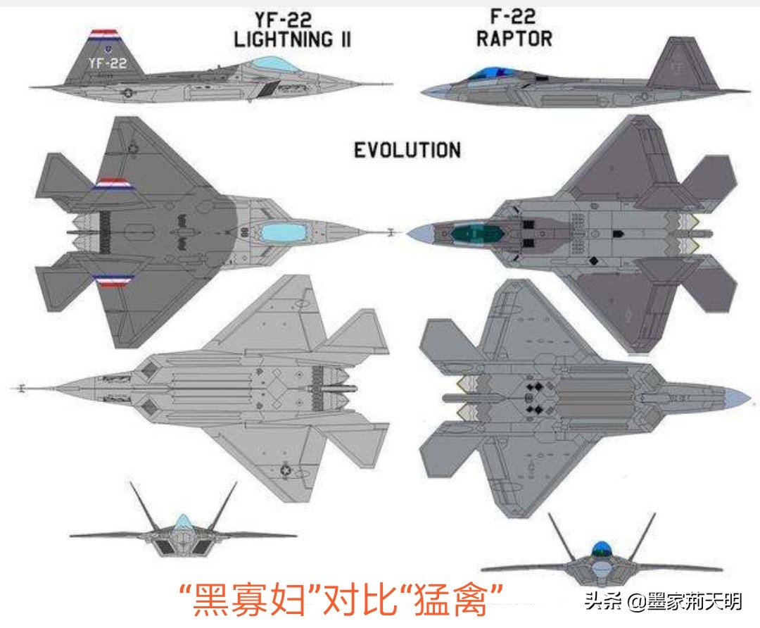 qq飞车f22猛禽_qq飞车f22猛禽和战鹰哪个好 qq飞车f22猛禽_qq飞车f22猛禽和战鹰哪个好