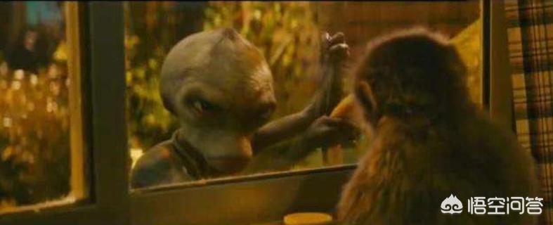 永远的第一名改编自哪本小说_永远的第一名改自那本小说 永远的第一名改编自哪本小说_永远的第一名改自那本小说