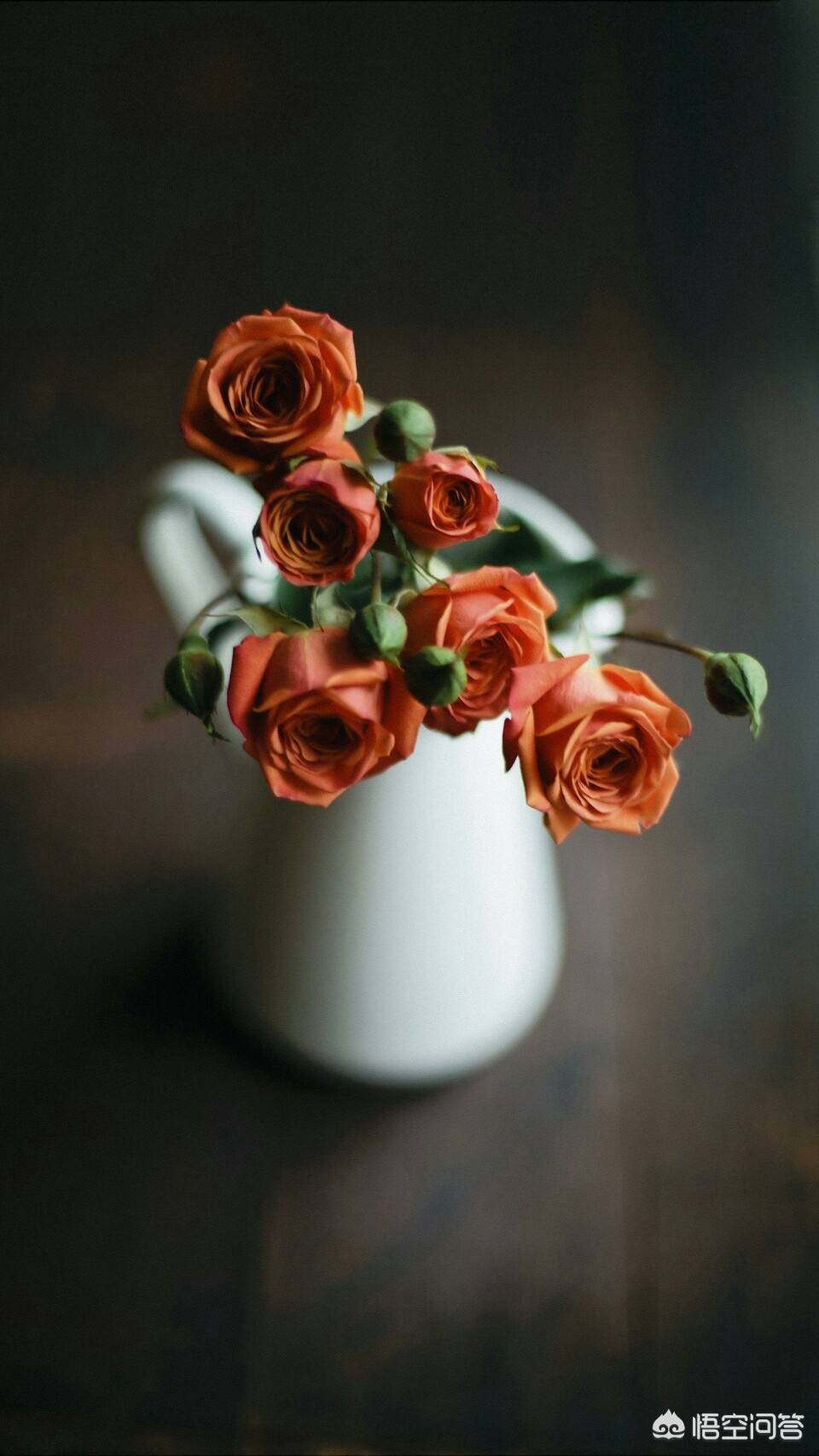 lol搞笑视频_lol搞笑视频全集笑死人 lol搞笑视频_lol搞笑视频全集笑死人