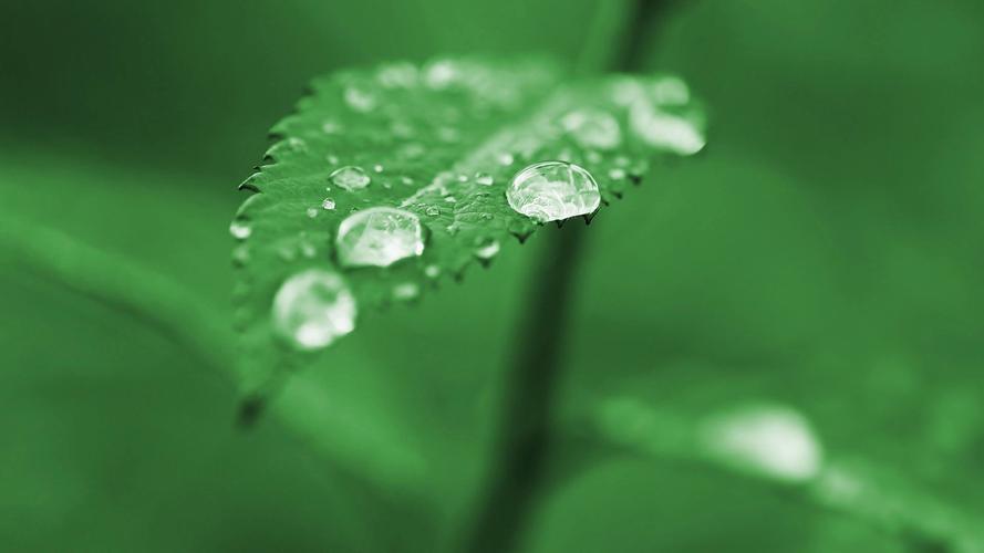 壁纸软件_壁纸软件免费下载