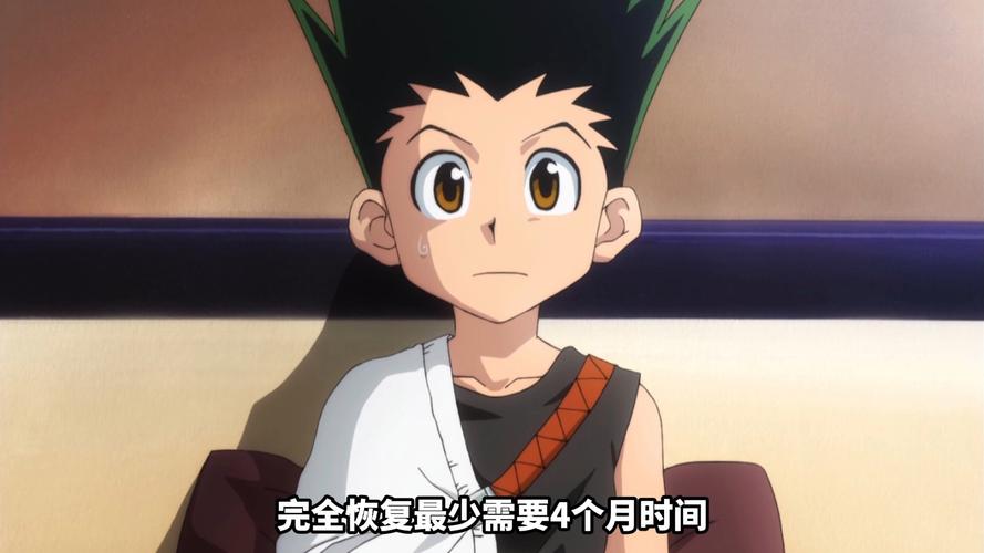 职业猎人_职业猎人动漫